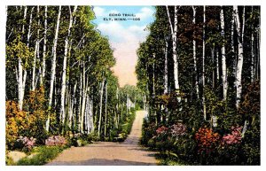 Postcard ROAD SCENE Ely Minnesota MN AU8147