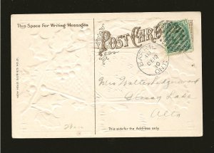 Postmarked 1910 Barrie Ont. Happy New Year Embossed Color Postcard