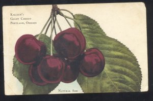 PORTLAND OREGON KALICH'S GIANT CHERRY VINTAGE ADVERTISING POSTCARD 1910