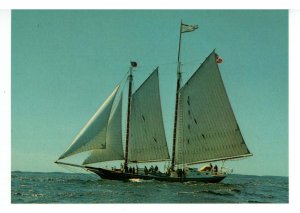 ME - Camden. Schooner Stephen Taber     (continental size)