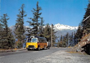 Am Simplon Pass 