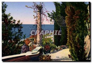 Old Postcard Monaco Principality Exotic gardens