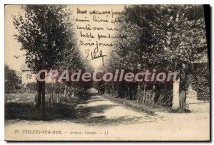 Old Postcard Villers sur Mer Avenue Leonie