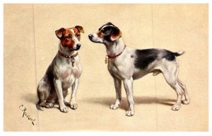 Dog ,  Fox terriers