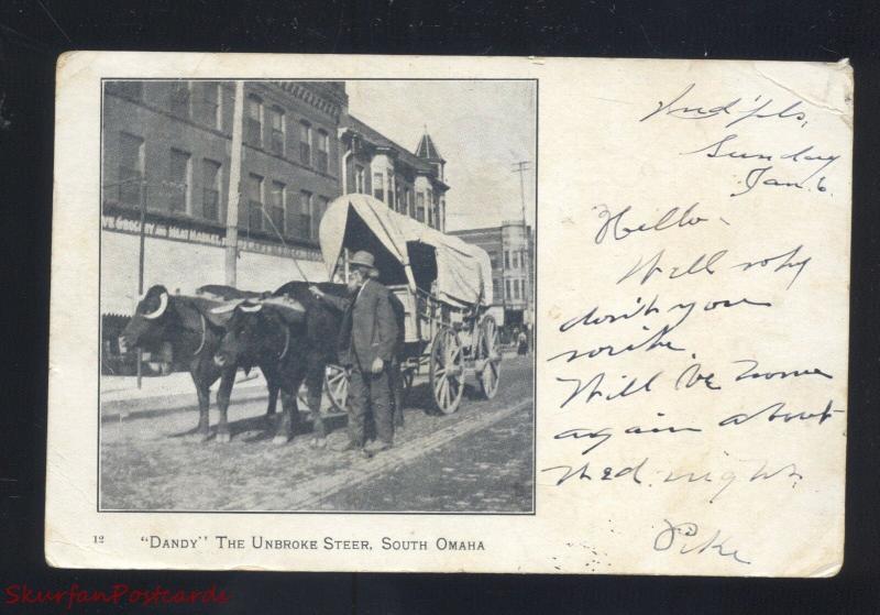 OMAHA NEBRASKA DANDY THE UNBROKE STEER COVERED WAGON VINTAGE POSTCARD