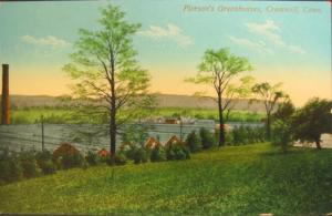 Cromwell CT Pierson's Greenhouses c1910 Postcard