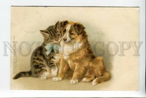 3178015 Kitten CAT Puppy COLLIE Vintage Litho RPPC 1898 year