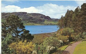 Scotland Postcard - Loch Ewe from Inverewe Gardens - Wester Ross  ZZ725