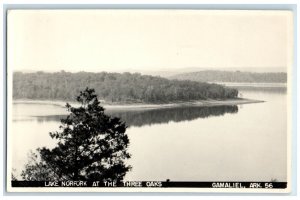 c1940's Lake Norfork At The Three Oaks Gamaliel Arkansas AR RPPC Photo Postcard