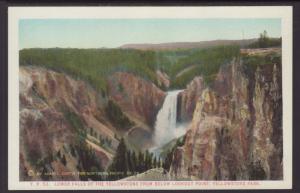 Lower Falls,Yellowstone Postcard