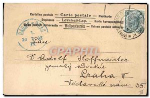 Old Postcard Hunting Dog