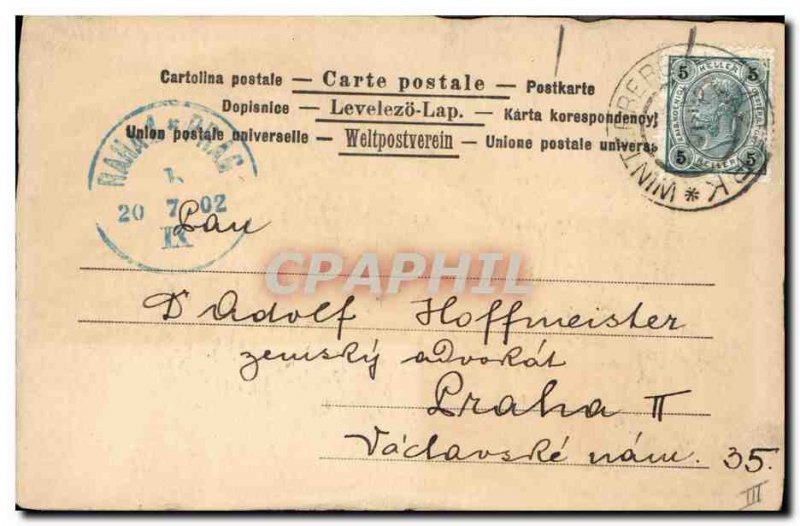 Old Postcard Hunting Dog