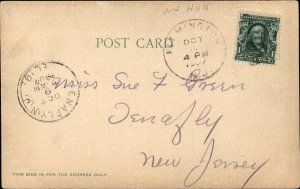 Flemington New Jersey NJ Court and County Building c1910 Vintage Postcard