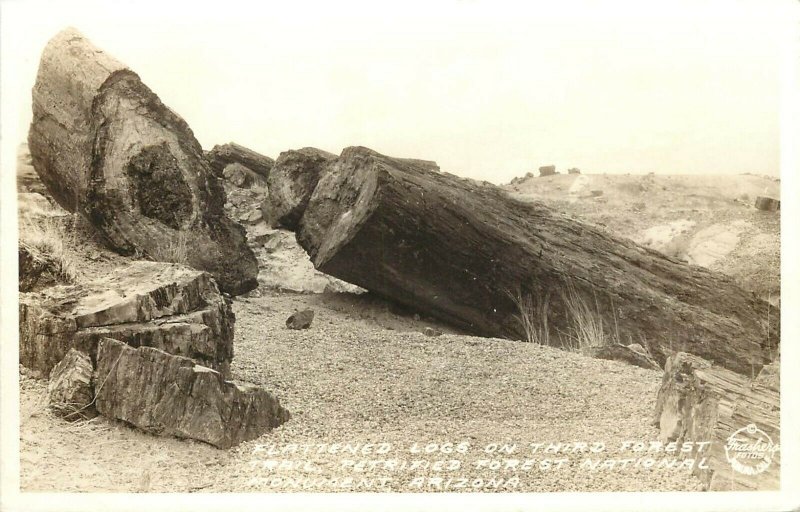 Frashers RPPC Logs on Third Forest Trail, Petrified Forest National Park AZ