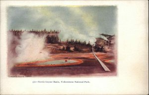 YELLOWSTONE NAT'L PARK WY HH TAMMEN No. 350 Golden Gate Norris Geyser Basin PC