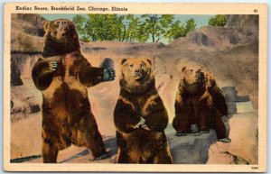 Postcard - Kodiac Bears, Brookfield Zoo - Chicago, Illinois