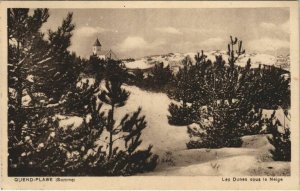 CPA QUEND-PLAGE-les-PINS Les Dunes sous la Neige (807267)