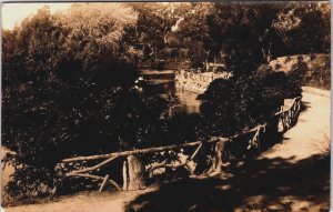 Uruguay Montevideo Parque José Enrique Rodó Vintage RPPC C132