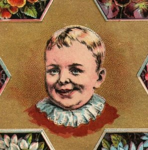 1880s Golden Star oil Stoves J.P. Wise & Son Wildflowers Happy Baby P206