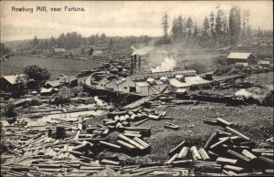 Fortuna California CA Newburg Mill Lumber Logging c1910 Vintage Postcard