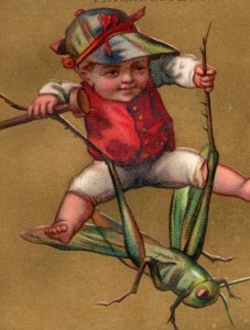 1880s Sharpless & Sons Dry Goods Fantasy Fairy On Grasshopper Locust F105