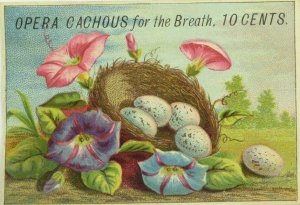 1880's-90's Opera Cachous For The Breath Speckled Eggs Morning Glories P93