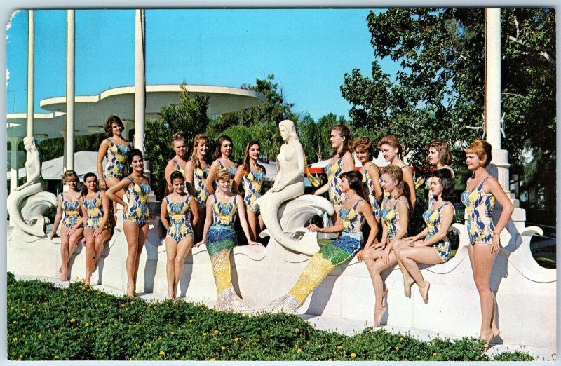 c1960s Tampa, St. Petersburg, Clearwater, FL Weeki Wachee Mermaids Hot Girl A240