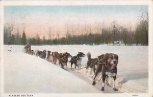 Alaska Alaskan Dog Team 1931 Curteich