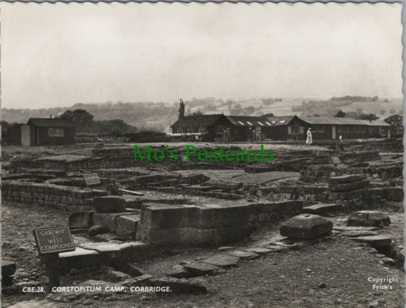 Northumberland Postcard - Corstopitum Camp, Corbridge RR14323 