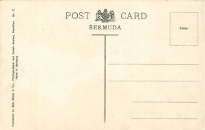 bermuda, Panorama from Princess Hotel (1910s) Postcard