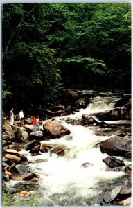 M-95509 Mountain streams and rapids along U S 441 Great Smoky Mountains