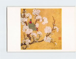 Postcard Parakeet on a Blossoming Pear Branch, Museum Of Fine Arts, Boston, MA