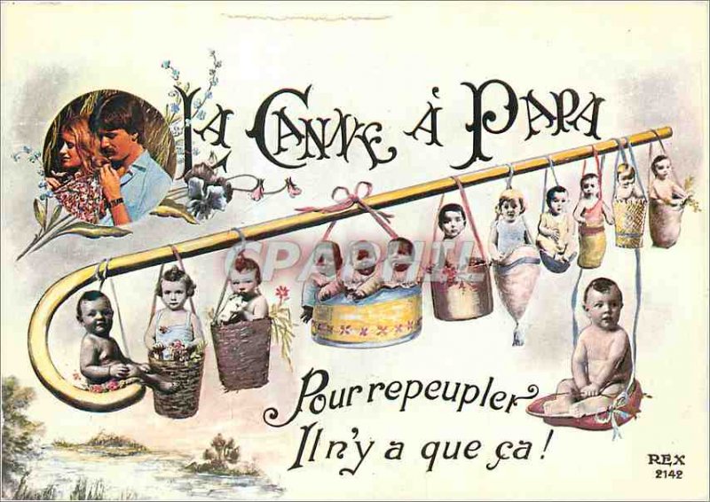 Postcard Modern Baby Daddy In The Cane has Repopulate Only Ca