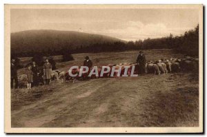 Postcard Old Party Na Radhosti Shepherd Sheep Child