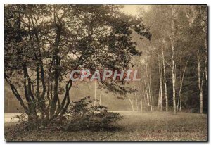 Old Postcard Parc de St Cloud Study of & # 39arbres near the hunting round