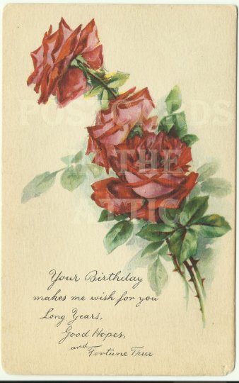 Red Rose Your Birthday... Early 1900s Gibson - Beautiful Vintage Postcard