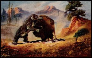 A Fierce Encounter Bear Buffalo BIN
