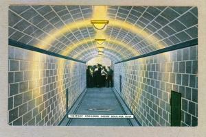 Visitors' Corridor Inside Boulder Dam, unused linen Postcard