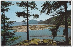 Log Booming Grounds, Vancouver Islands, British Columbia, 1940-60s