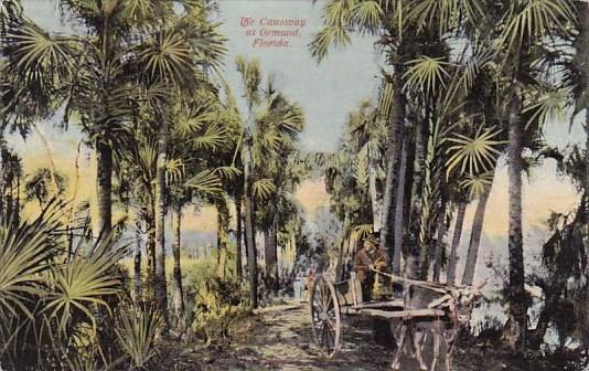 Florida Ormond The Causway At Ormond 1917