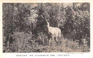 Highland Inn Algonquin Park, Ontario, Canada Deer Postal Used Unknown 