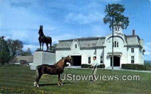 University of Vermont - Weybridge Postcard