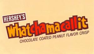 Hershey's Chocolate - Whatchamacallit