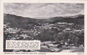 North Carolina Bryson City Panorama