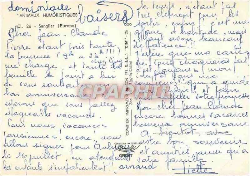 Postcard Modern Humor Animals Boar (Europe)