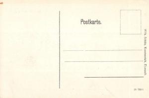 Eisenach Germany total Villenviertel Birdseye View Antique Postcard K16907