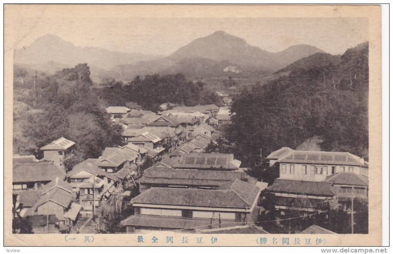 Bird's Eye View, Japan, 1910-1920s