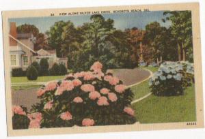 View Along Silver Lake Drive Rehoboth Beach DE 1950 -linen-