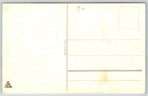 Fantasy~Dressed Cats~Romeow Cat Comes Calling By Moonlight~France