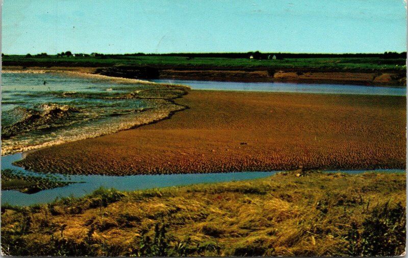 Tidal Bore Truro Nova Scotia NS Canada Postcard PM Cancel WOB Note 4c Stamp 